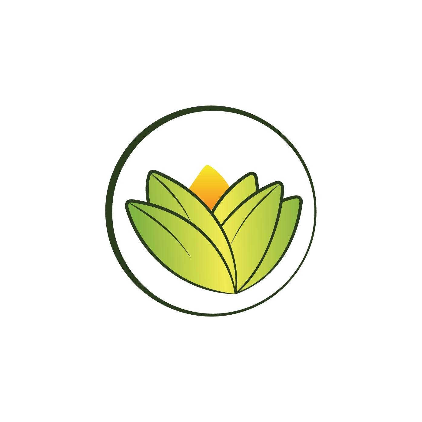 The Ayurveda Experience (US)